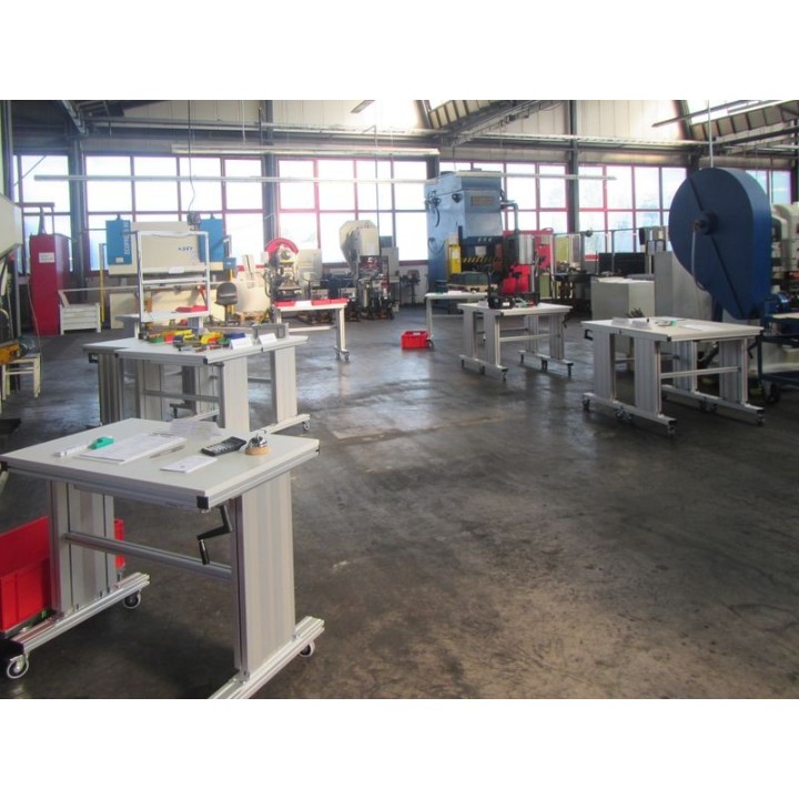 Operational Excellence (OPEX) for Manager