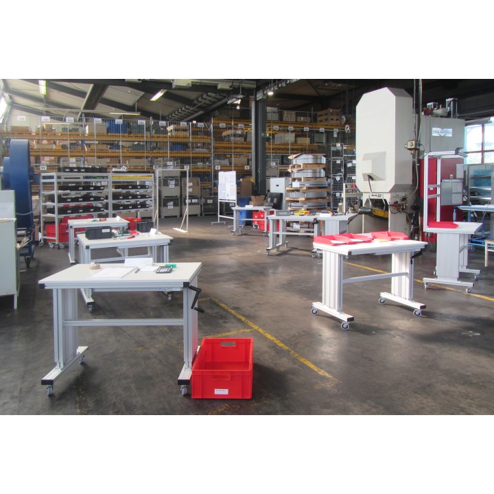 Operational Excellence (OPEX) for Manager